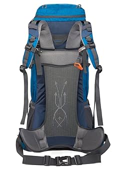 Amazon.co.jp: リュック 登山 80L アウトドア バッグ バック
